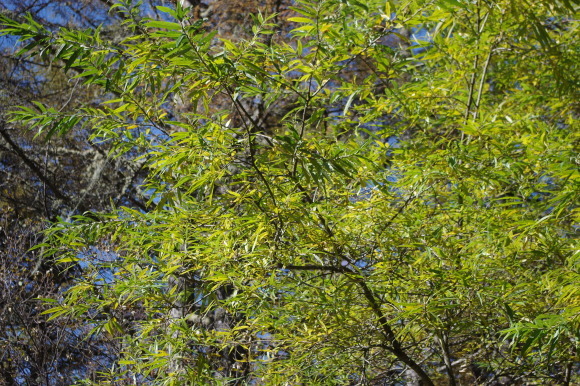 c0275289_00073169.jpg