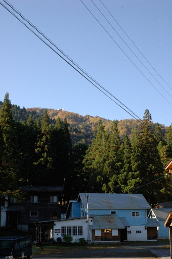 a0061599_7573437.jpg