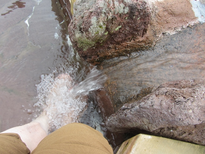 e0033301_1046594.jpg
