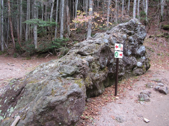 e0033301_1124326.jpg