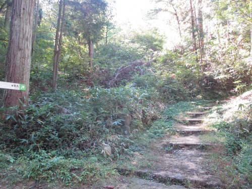 e0242504_23355499.jpg