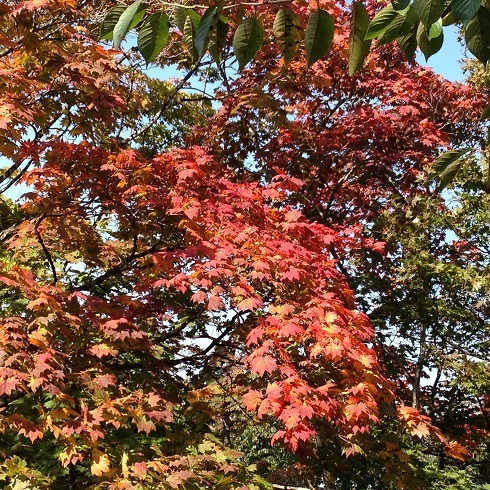 a0337807_18125963.jpg