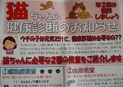 b0200310_1321761.jpg