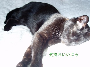 b0200310_13234590.jpg