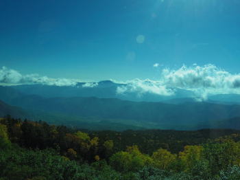 d0027711_12201751.jpg