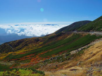 d0027711_12205547.jpg