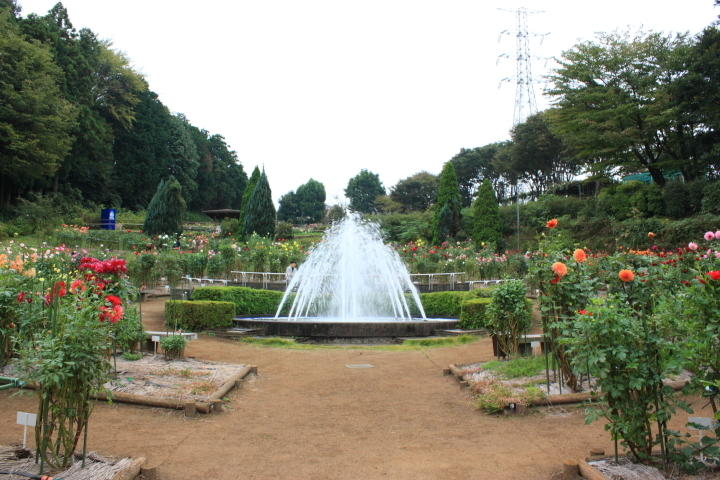 d0077811_11115627.jpg
