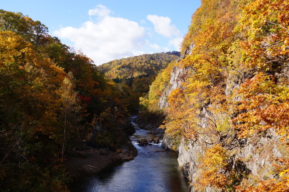 c0020320_23142314.jpg