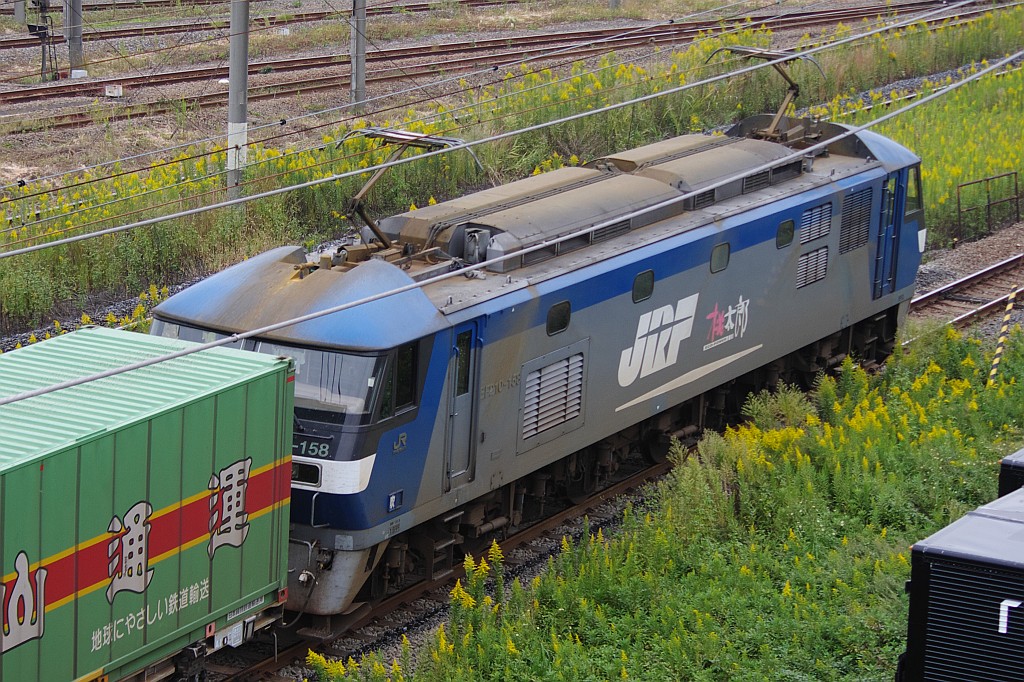 f0203926_112197.jpg