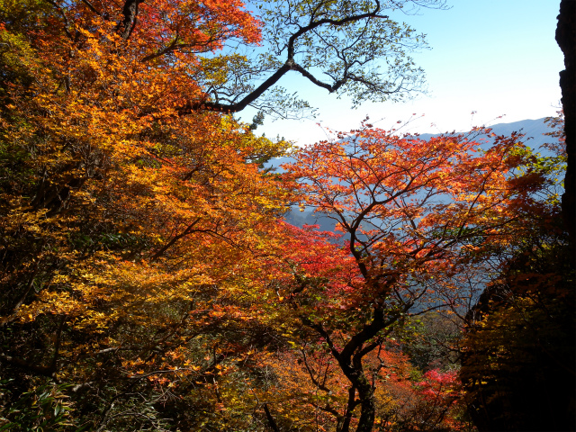 e0272335_4274728.jpg