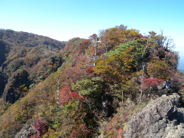 e0272335_5105856.jpg