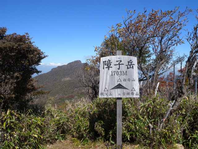 e0272335_5202498.jpg