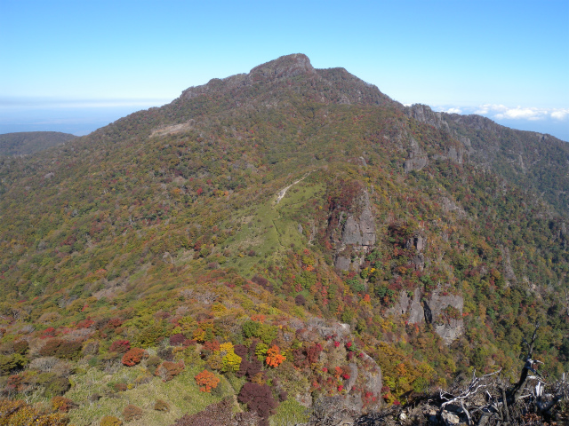 e0272335_52053.jpg