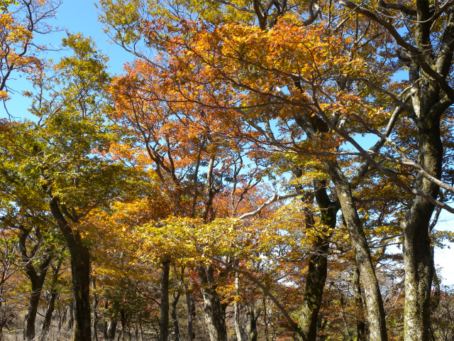 e0272335_741389.jpg