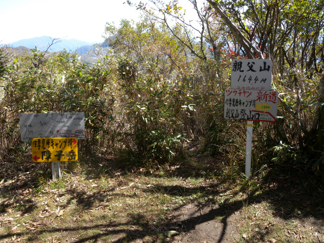 e0272335_756151.jpg
