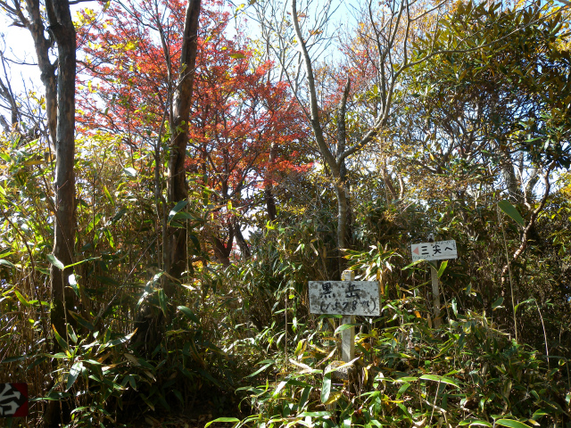 e0272335_8162485.jpg