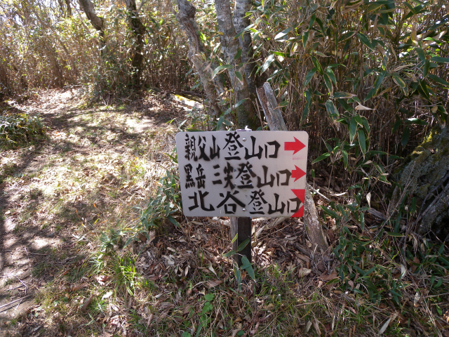 e0272335_82658.jpg