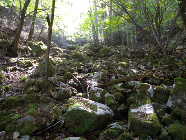 e0272335_8265832.jpg
