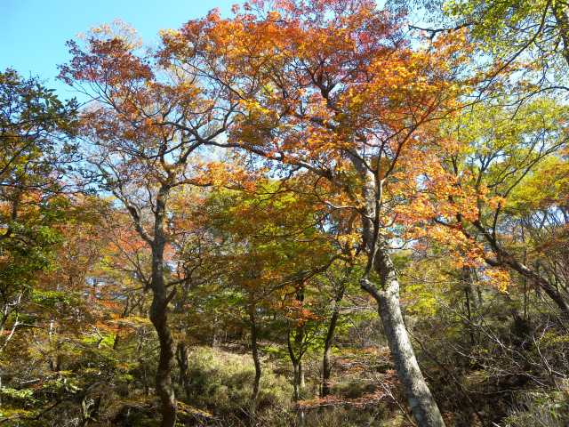 e0272335_85194.jpg