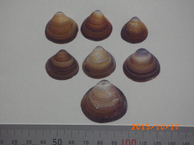 a0157451_1892378.jpg