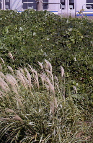 b0157961_239109.jpg