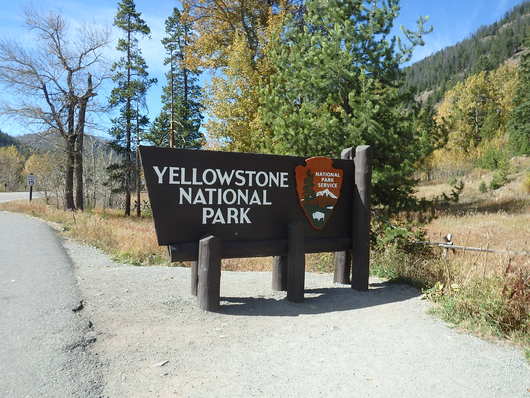 c0115366_811522.jpg