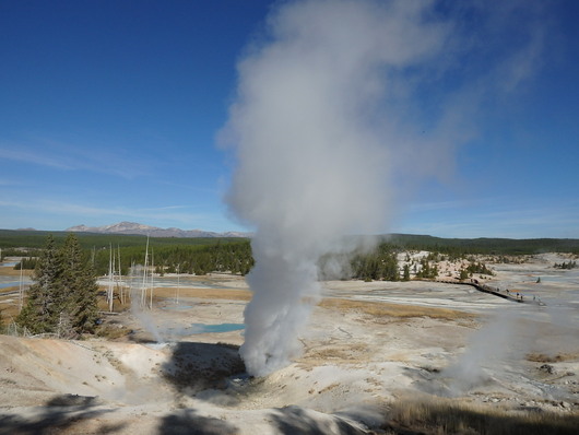 c0115366_8322978.jpg