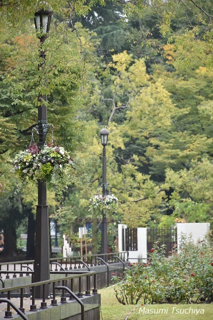 d0334669_20333440.jpg