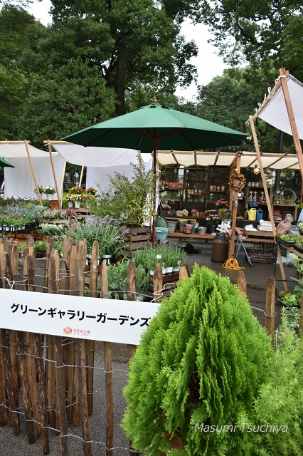 d0334669_20383691.jpg