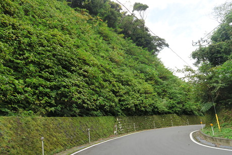 e0292172_2020061.jpg