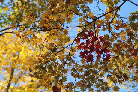 c0283778_16363841.jpg