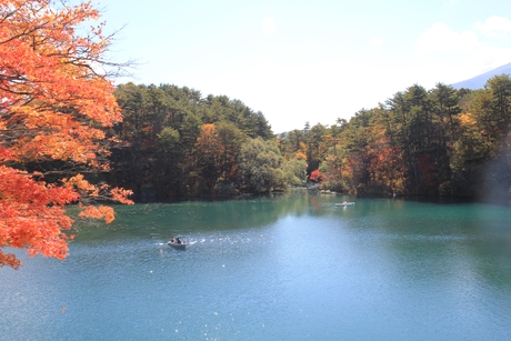 c0283778_16374569.jpg