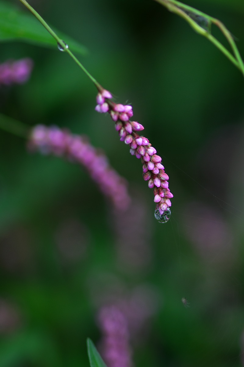a0083081_22544655.jpg