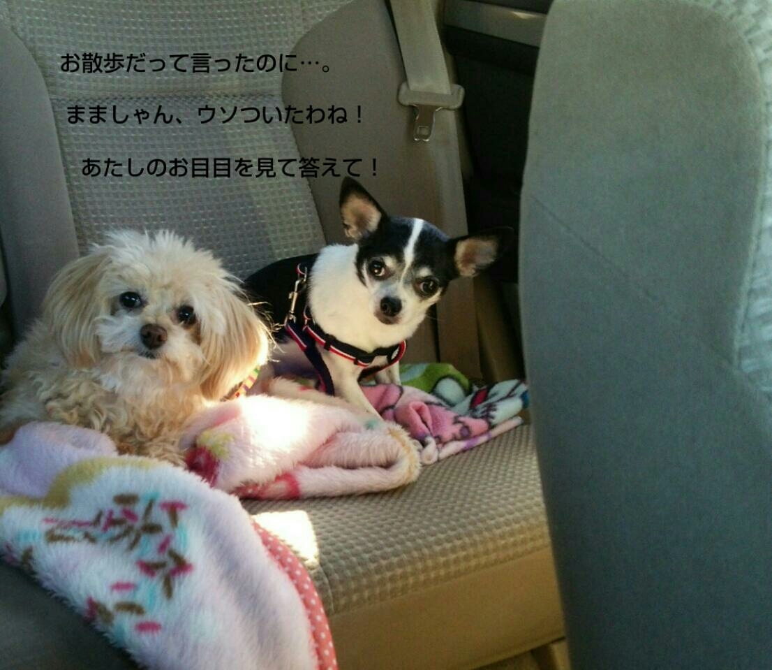 c0109891_06224769.jpg