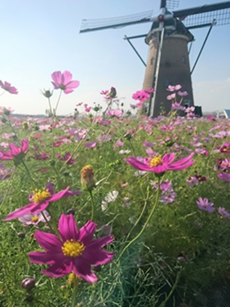 f0165392_1655531.jpg