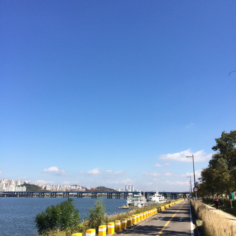 d0081693_19345241.jpg