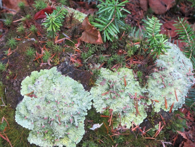 e0033301_18123067.jpg