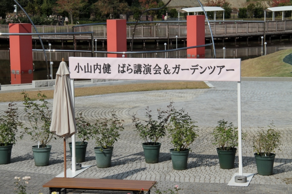 d0166303_21383449.jpg
