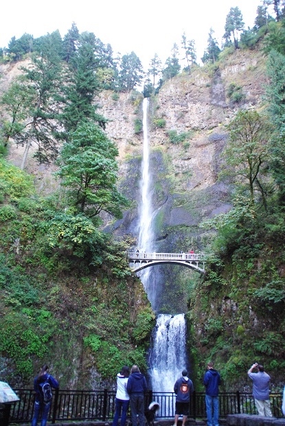 f0038904_2314547.jpg
