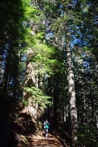 f0038904_2325550.jpg