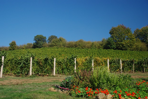 f0038904_2334585.jpg