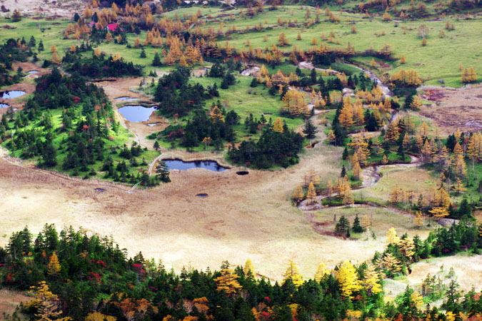a0263109_14515083.jpg