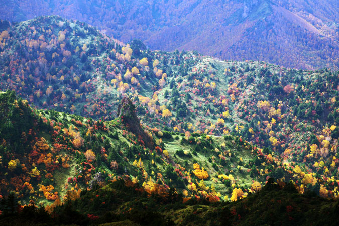 a0263109_14551077.jpg