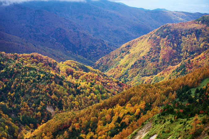 a0263109_1455231.jpg