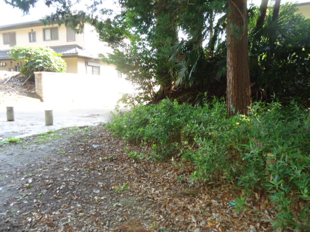 b0182709_9192857.jpg