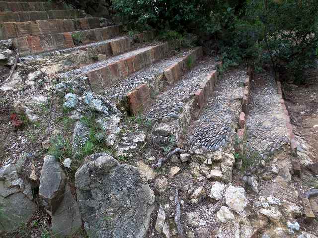 b0064411_06314572.jpg