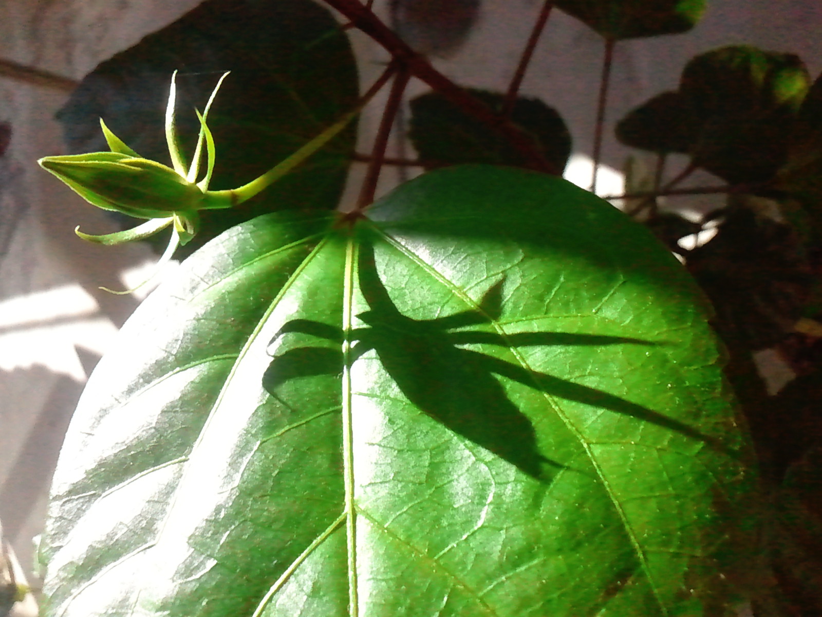 c0062511_20152371.jpg