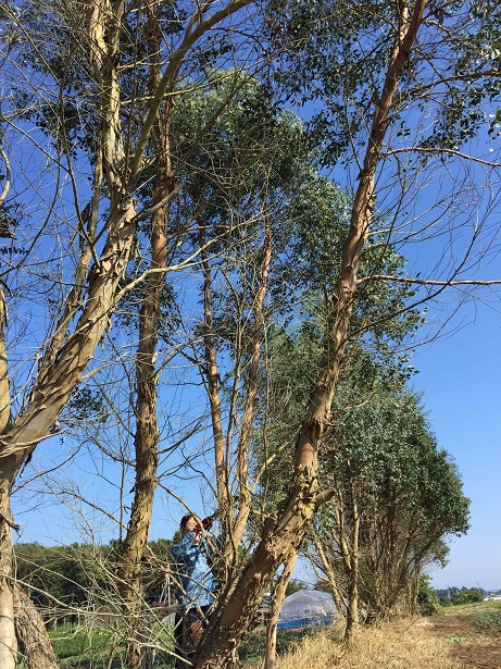 c0167112_21554491.jpg