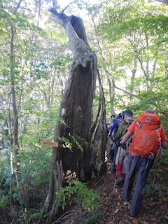 c0359615_18465910.jpg