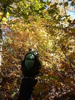 c0359615_18475478.jpg